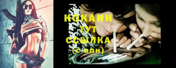 мдпв Лихославль