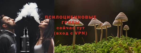 винт Липки