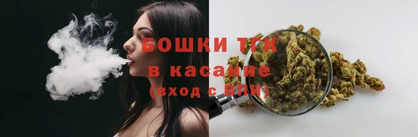ALPHA PVP Киреевск