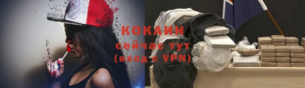 винт Липки