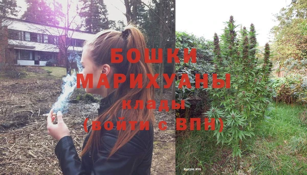 винт Липки