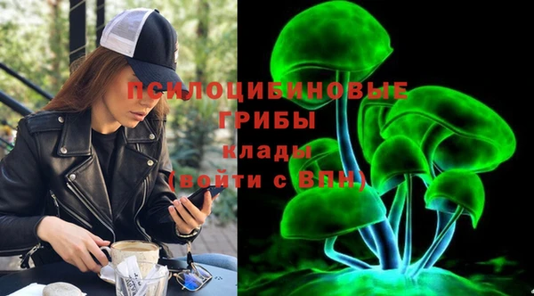 мдпв Лихославль