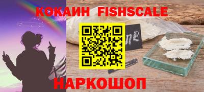гашик Дубна