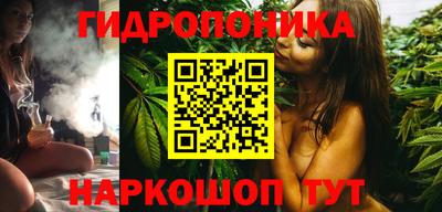 гашик Дубна