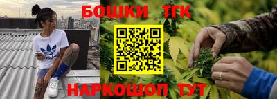 гашик Дубна