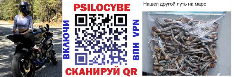 купить закладку  Наро-Фоминск  Галлюциногенные грибы прущие грибы 