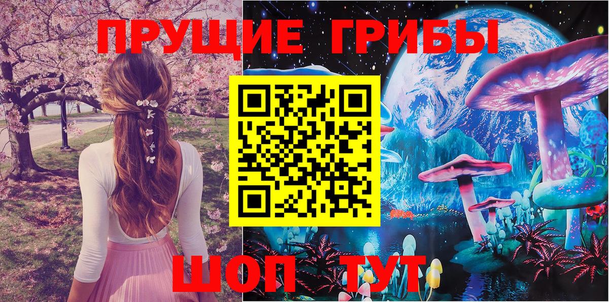 Псилоцибиновые грибы GOLDEN TEACHER Наро-Фоминск